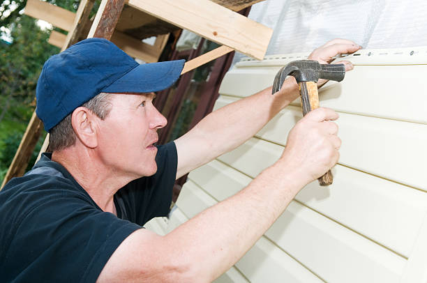 Best Fascia and Soffit Installation  in Atkins, IA